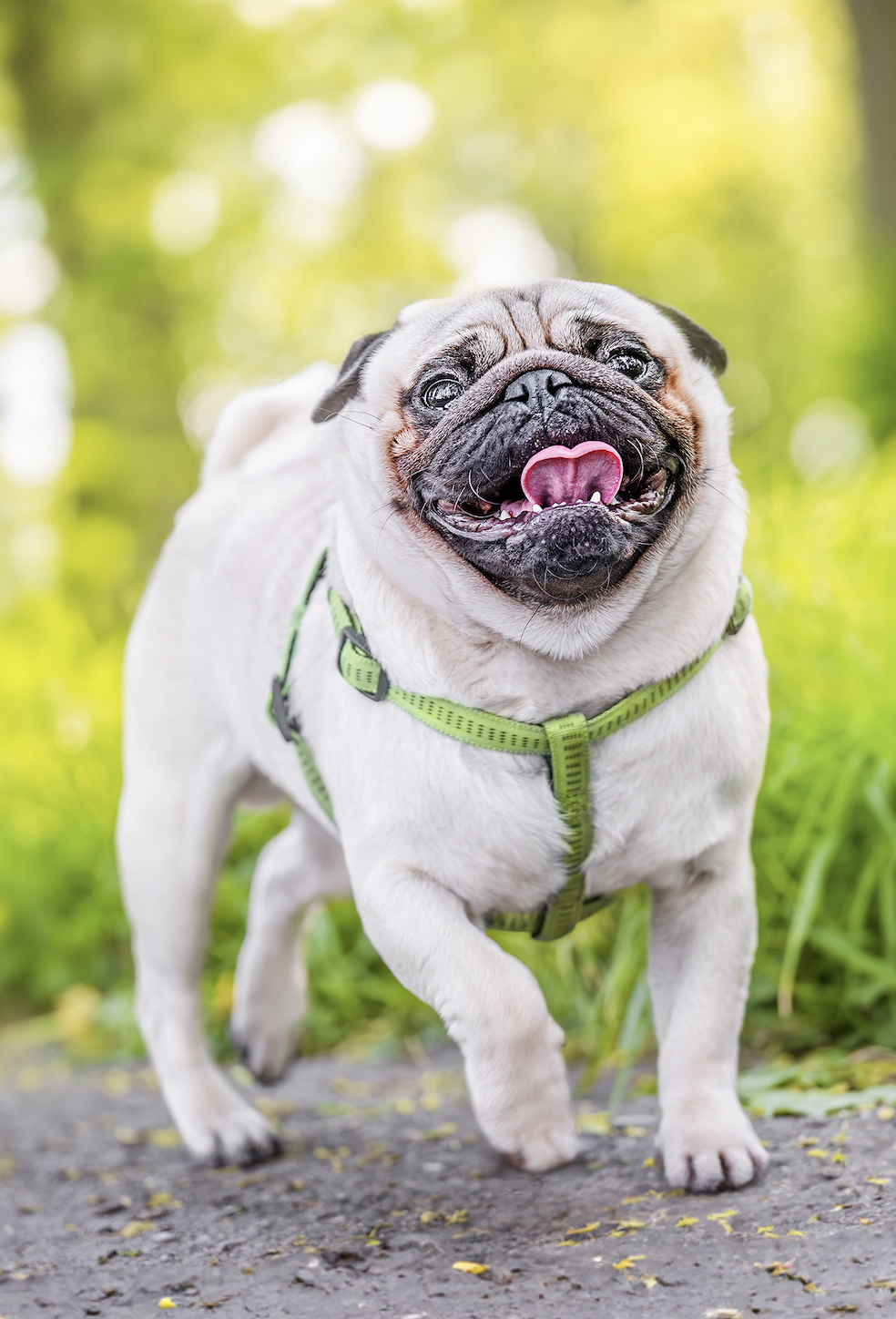 Screenshot 2025-05-07 at 8.25.44 AM